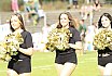 Die Cologne Crocodiles und Düsseldorf Pantherettes Cheerleader beim GFL Spiel der Düsseldorf Panther gegen die Cologne Crocodiles am 20.08.2022