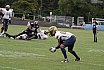 GFL Nord: Düsseldorf Panther vs Dresden Monarchs 07:34 16.08.2025
