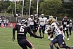 GFL Nord: Düsseldorf Panther vs Dresden Monarchs 07:34 16.08.2025