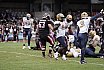 GFL Nord: Düsseldorf Panther vs Dresden Monarchs 07:34 16.08.2025