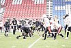 Preseason Football: Krefeld Ravens vs Münster Phoenix 33:00 13.02.2025