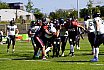 GFL2 Nord: Düsseldorf Panther vs Oldenburg Knights 38:07 10.08.2024