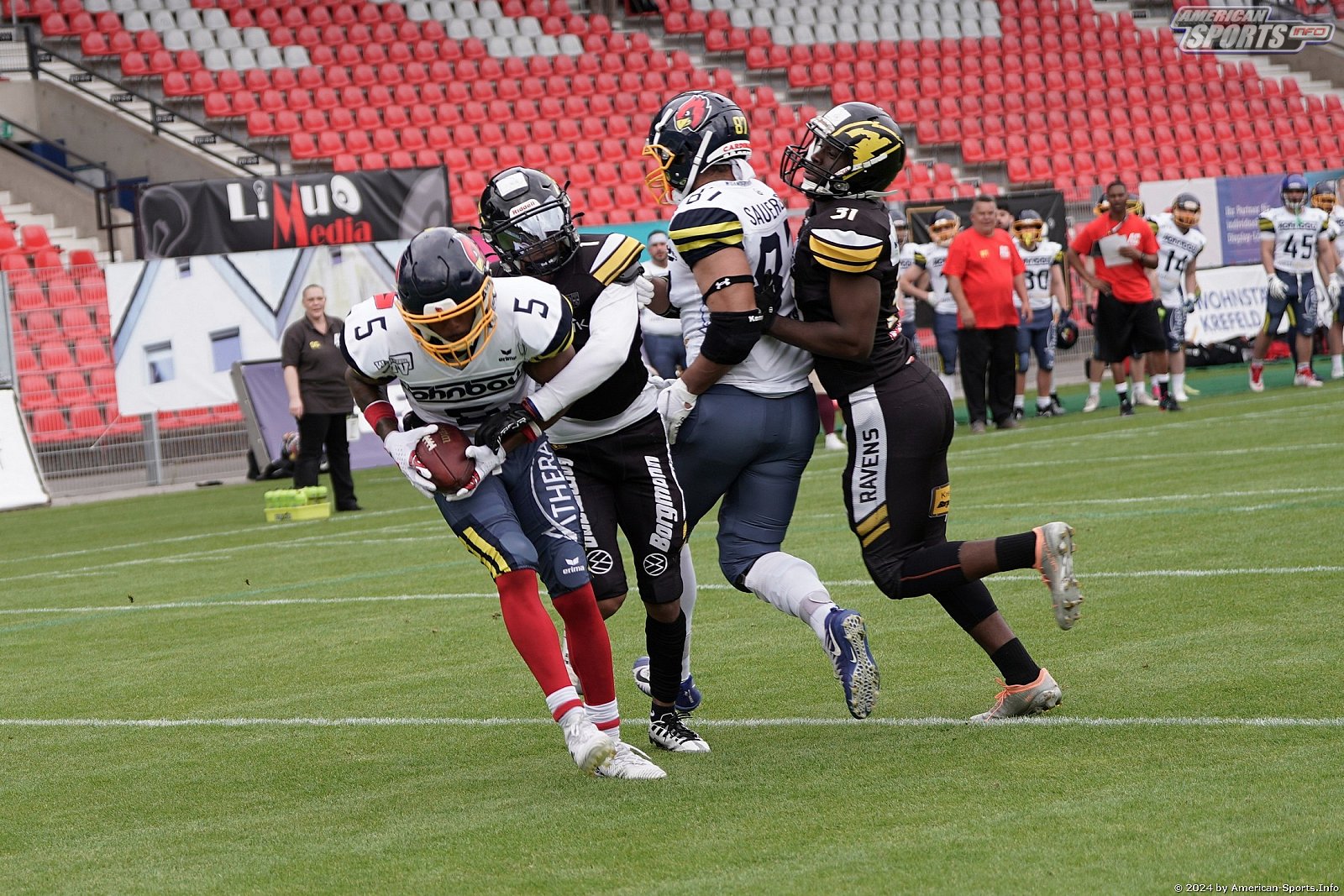Regio West: Krefeld Ravens vs Assindia Cardinals 56:21 18.05.2024