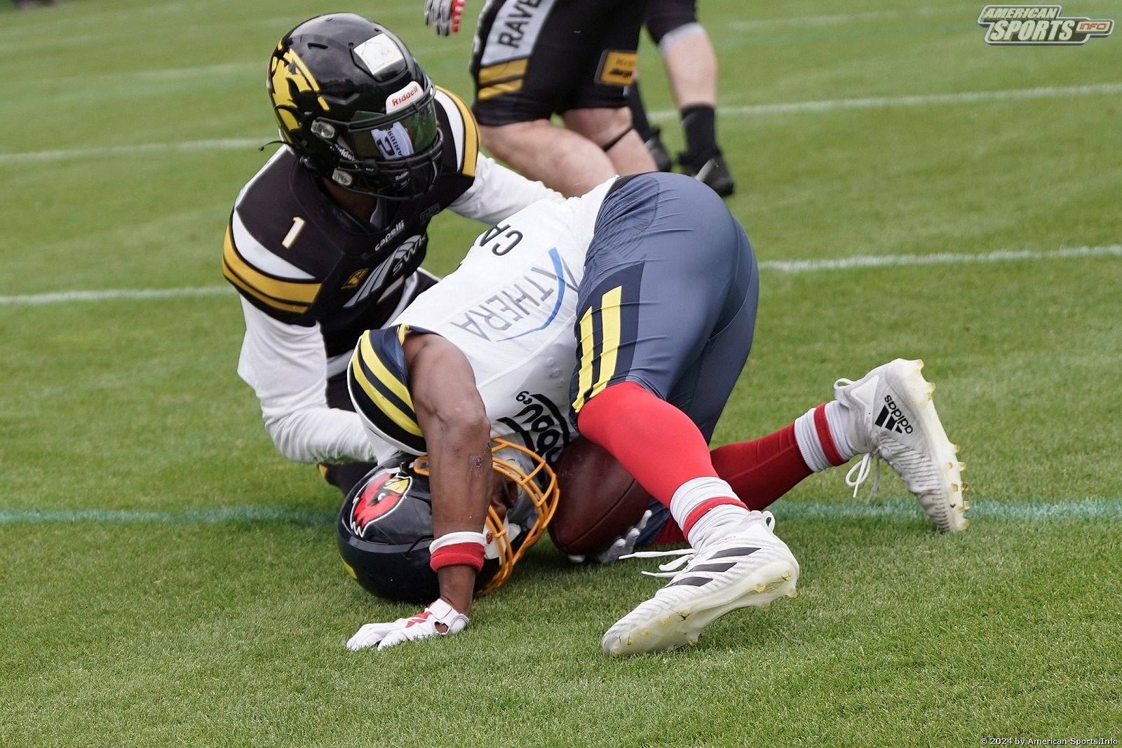 Regio West: Krefeld Ravens vs Assindia Cardinals 56:21 18.05.2024