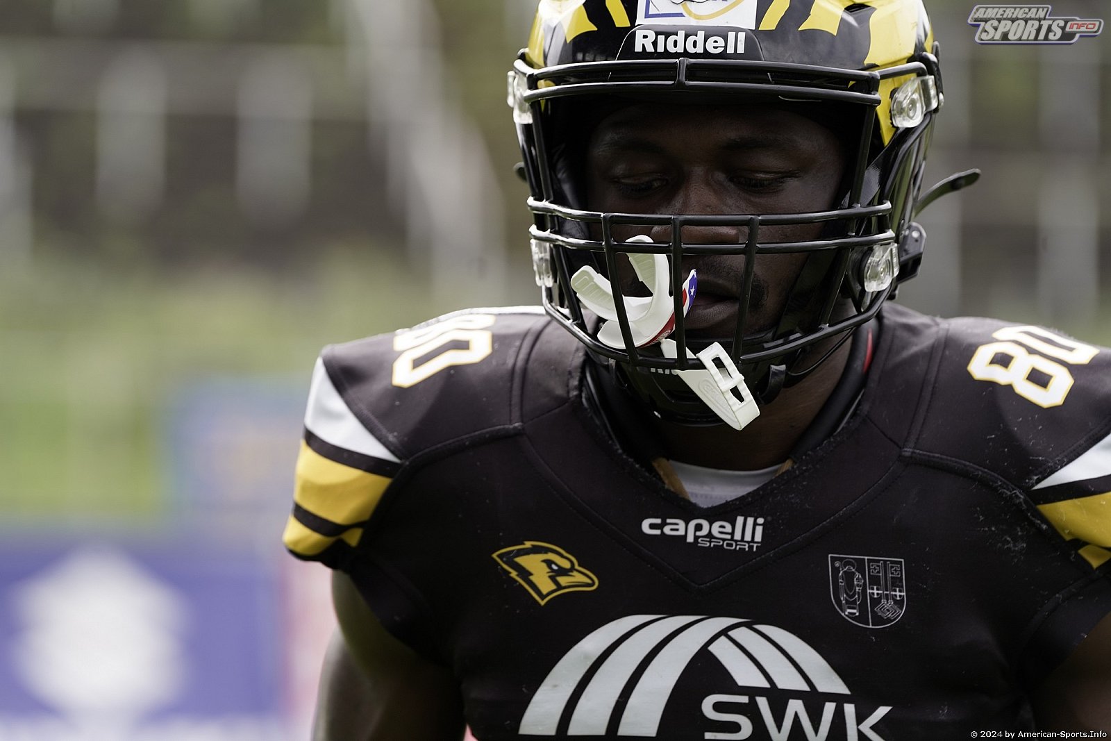 Regio West: Krefeld Ravens vs Assindia Cardinals 56:21 18.05.2024