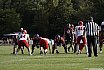 GFL2 Nord: Düsseldorf Panther vs Lübeck Cougars 16:10 31.08.2024