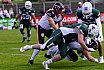 GFL2 Nord: Düsseldorf Panther vs Bielefeld Bulldogs 30:00 9.6.2024