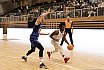 ProA: ARTGiants Düsseldorf vs Hakro Merlins Crailsheim 66:100 08.11.2024