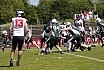 GFL2 Nord: Düsseldorf Panther vs Bielefeld Bulldogs 30:00 9.6.2024