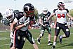 GFL2 Nord: Düsseldorf Panther vs Bielefeld Bulldogs 30:00 9.6.2024