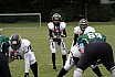 DBL2: Krefeld Ravens Ladies vs. Mülheim Shamrocks Womans Takle Football 14:06 16.06.2024