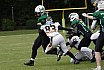 DBL2: Krefeld Ravens Ladies vs. Mülheim Shamrocks Womans Takle Football 14:06 16.06.2024