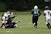 DBL2: Krefeld Ravens Ladies vs. Mülheim Shamrocks Womans Takle Football 14:06 16.06.2024