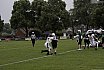 DBL2: Krefeld Ravens Ladies vs. Mülheim Shamrocks Womans Takle Football 14:06 16.06.2024