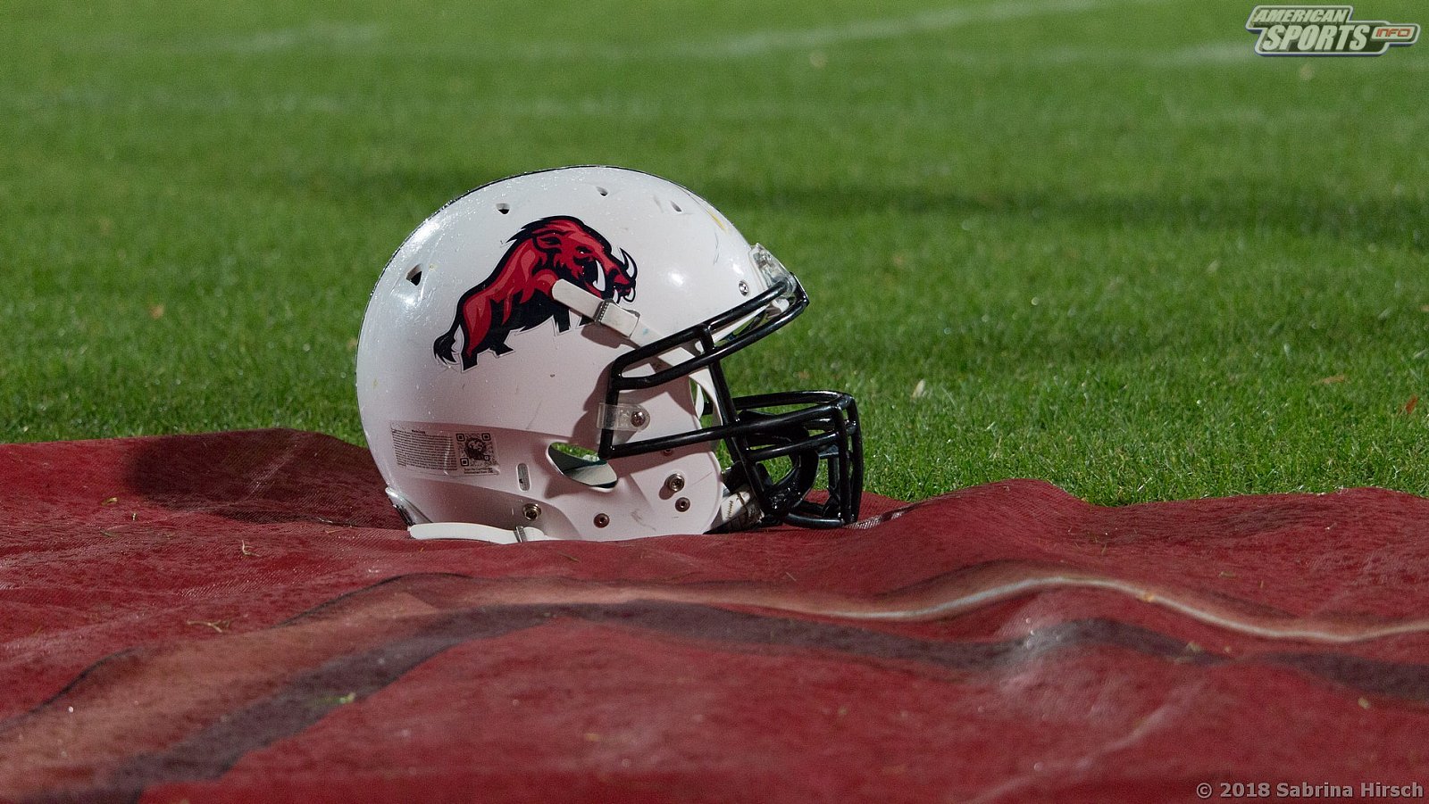 GFL Relegation Stuttgart Scorpions vs  Ravensburg Razorbacks 72-34 22.09.2018