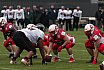 GFL Preseason: Stuttgart Scorpions vs Düsseldorf Panther 29:14 13.04.2019