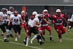 GFL Preseason: Stuttgart Scorpions vs Düsseldorf Panther 29:14 13.04.2019