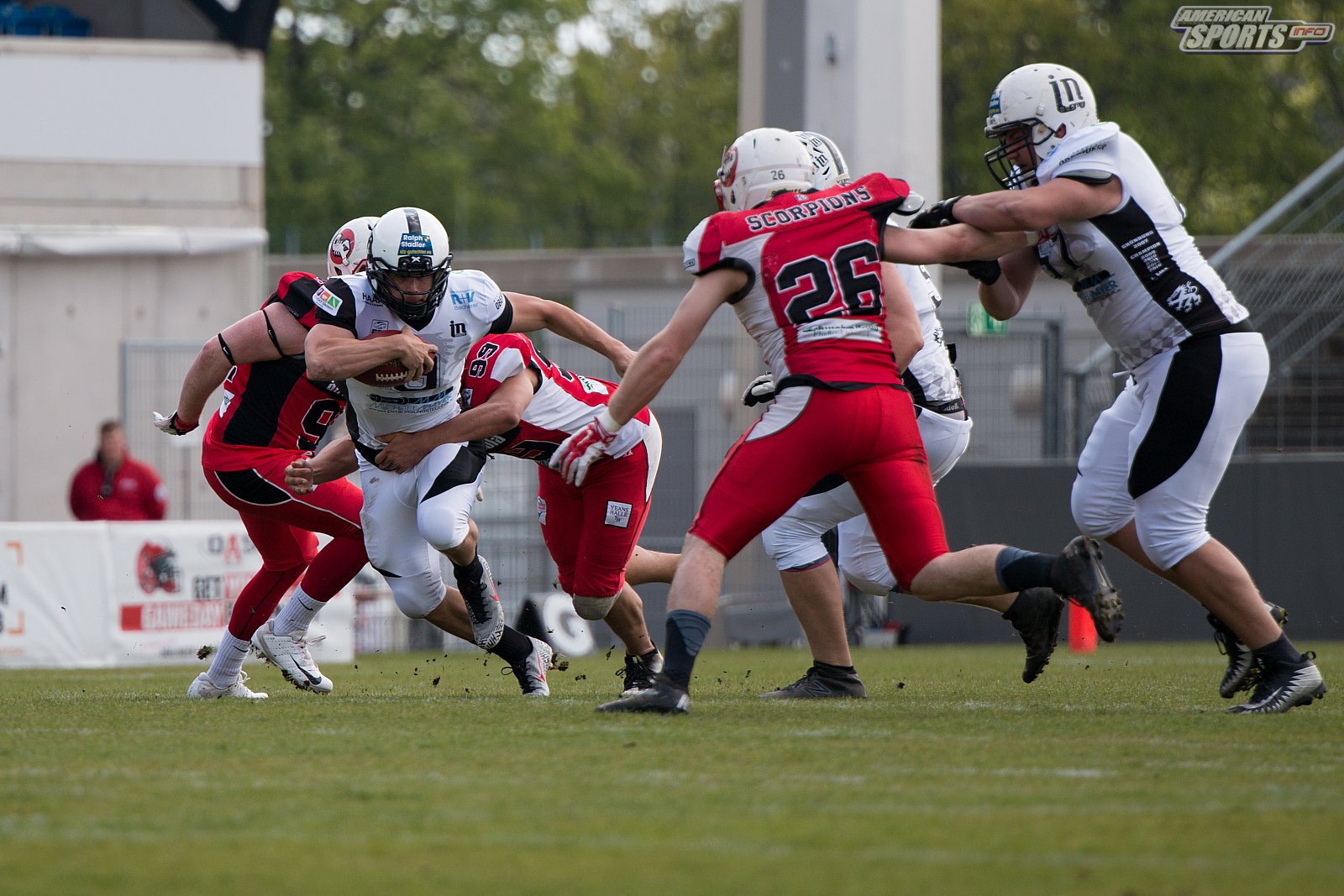 GFL Süd: Stuttgart Scorpions vs. Ingolstadt Dukes 37:30 19.05.2019 