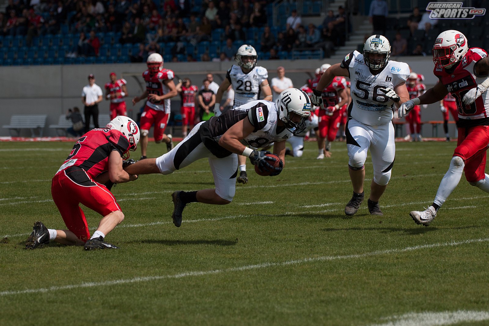 GFL Süd: Stuttgart Scorpions vs. Ingolstadt Dukes 37:30 19.05.2019 