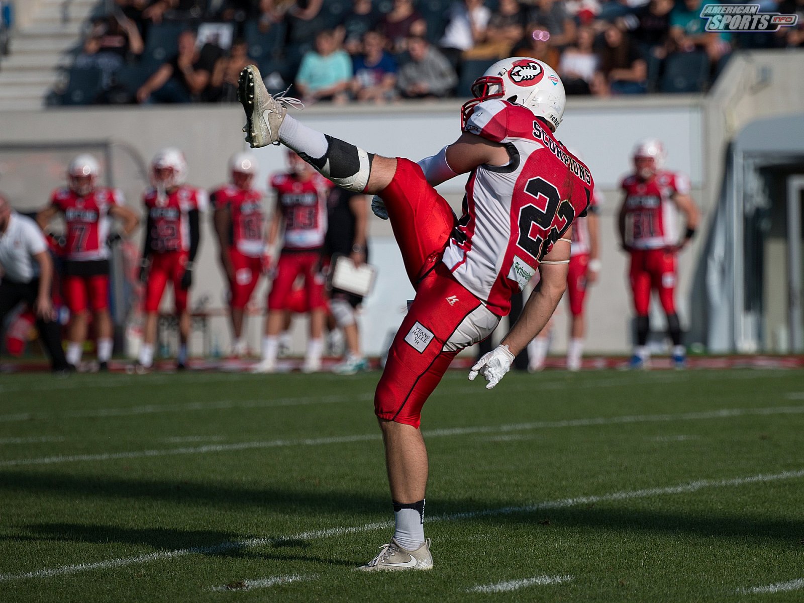 GFL Süd: Stuttgart Scorpions vs. Allgäu Comets 12:16 03.08.2019