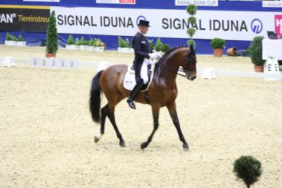 Dressurreiter nutzen SIGNAL IDUNA CUP als Olympiavorbereitung