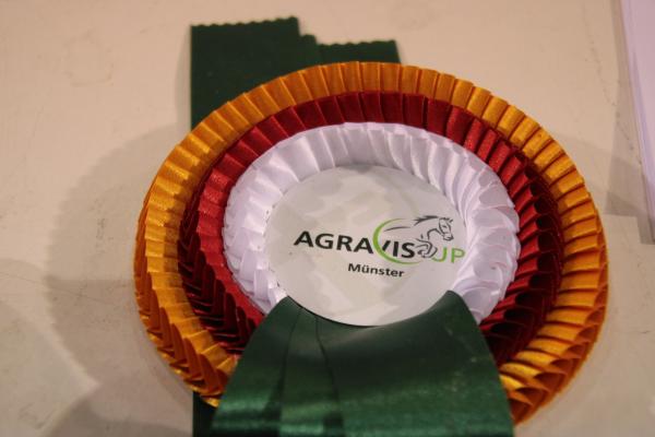 AGRAVIS-Cup M&uuml;nster 2024: Ticketverkauf startet