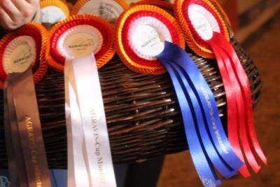 Agravis Cup 2023 kann starten