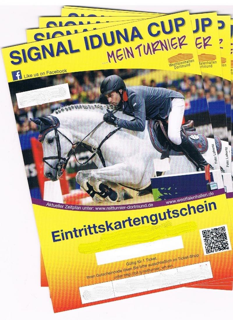 Gewinnspiel zum SIGNAL IDUNA CUP in Dortmund