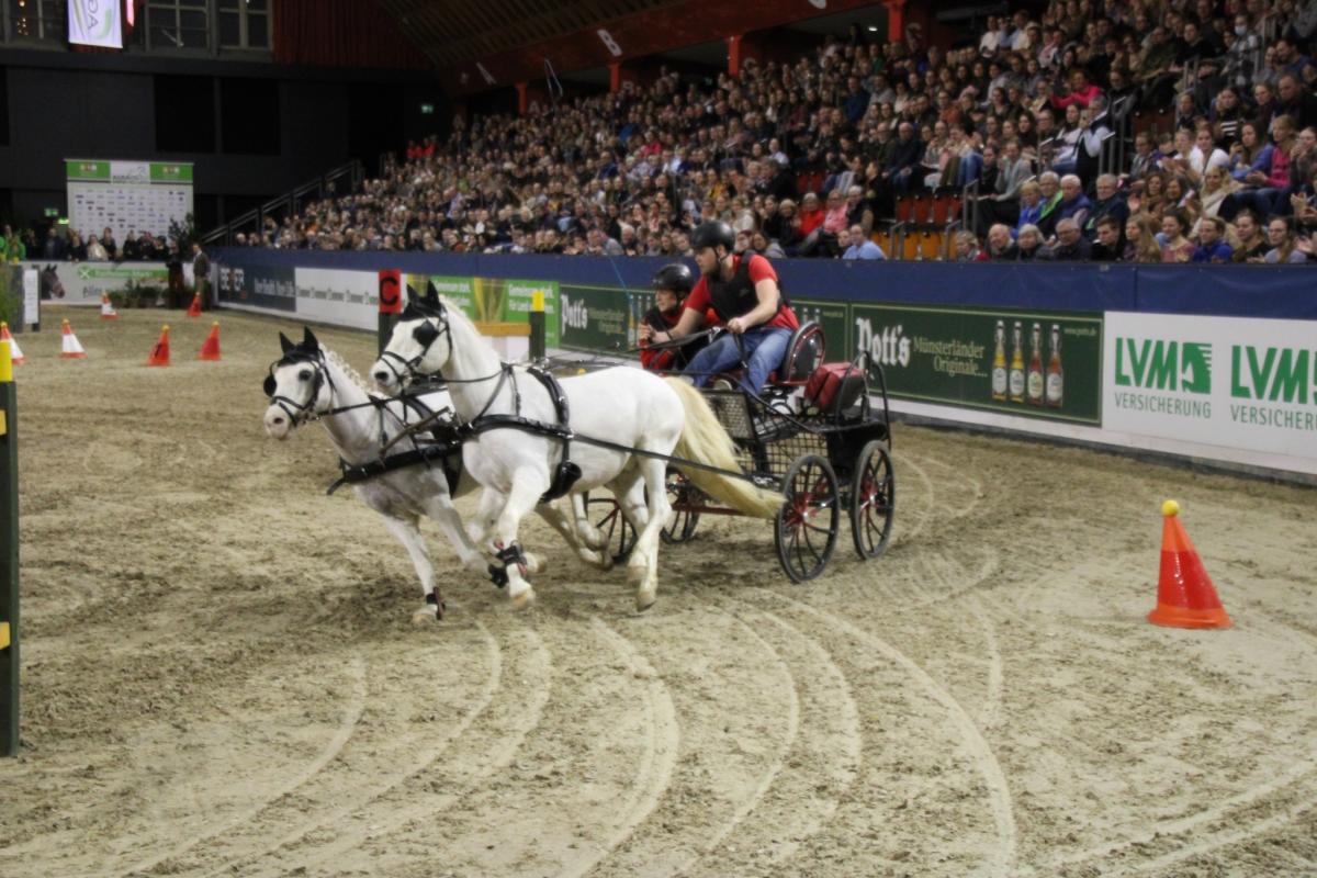 Agravis Cup: Hindernissfahren sorgt für Stimmung