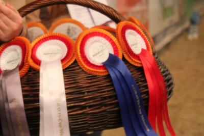 AGRAVIS Cup: Mannschaftsspringen der Kreisreiterverb&auml;nde entschieden