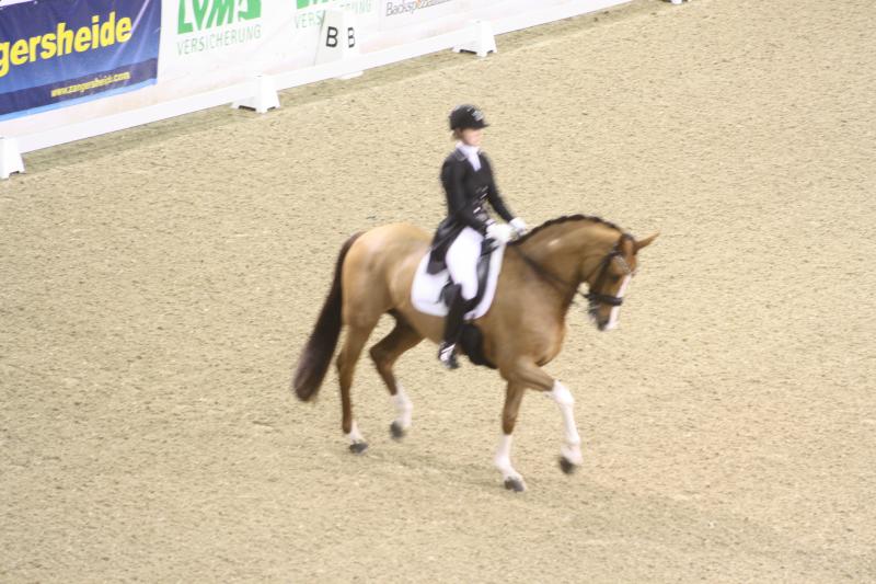Tolle Dressurpr&uuml;fungen in M&uuml;nster